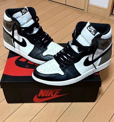 Nike Air Jordan 1 High OG "Sail/Dark Mocha/Black"