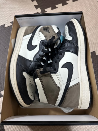 Nike Air Jordan 1 High OG "Sail/Dark Mocha/Black"