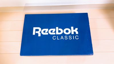 Reebok Instapump Fury "Tricolor"