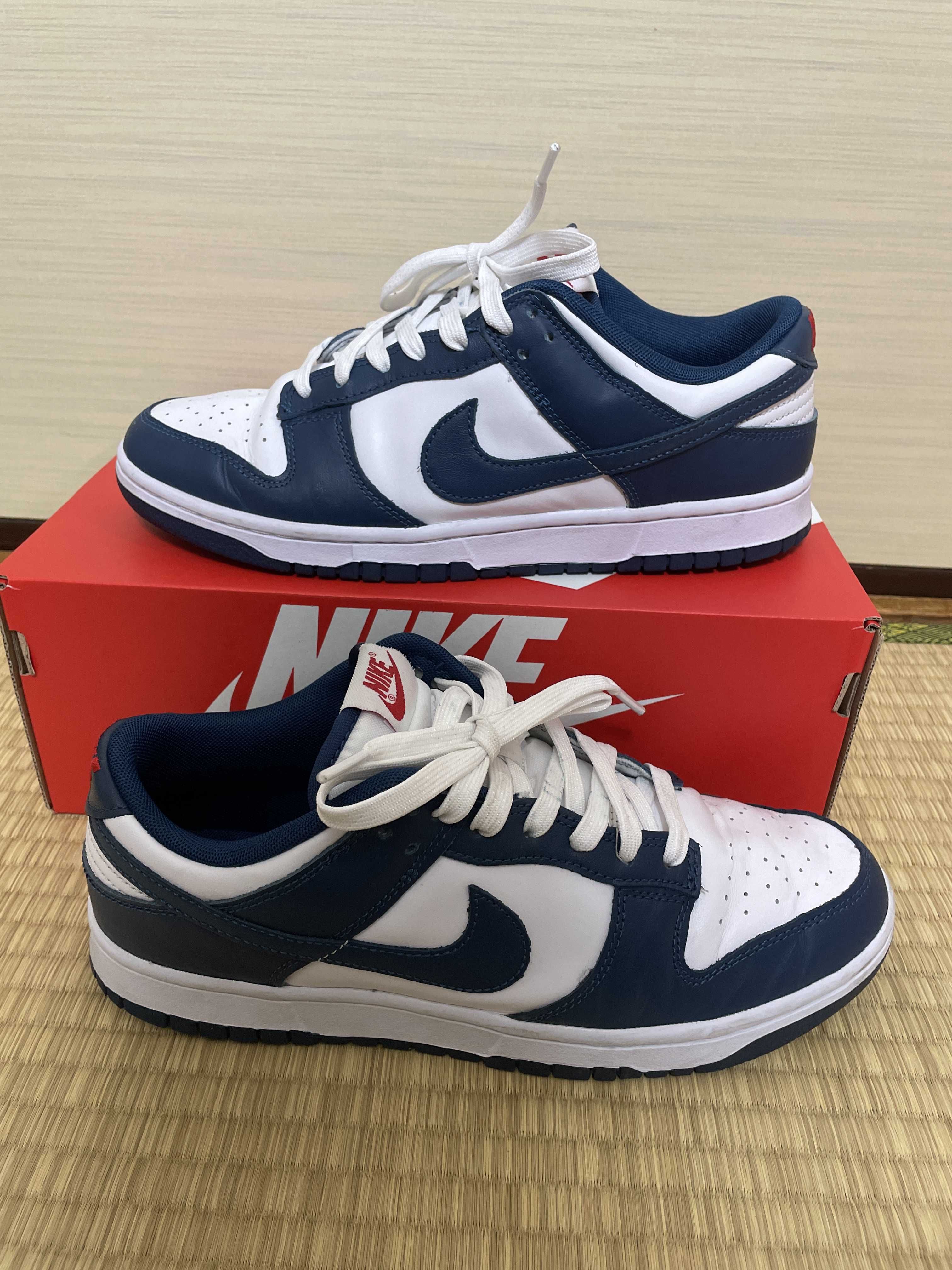 Nike Dunk Low "Valerian Blue"