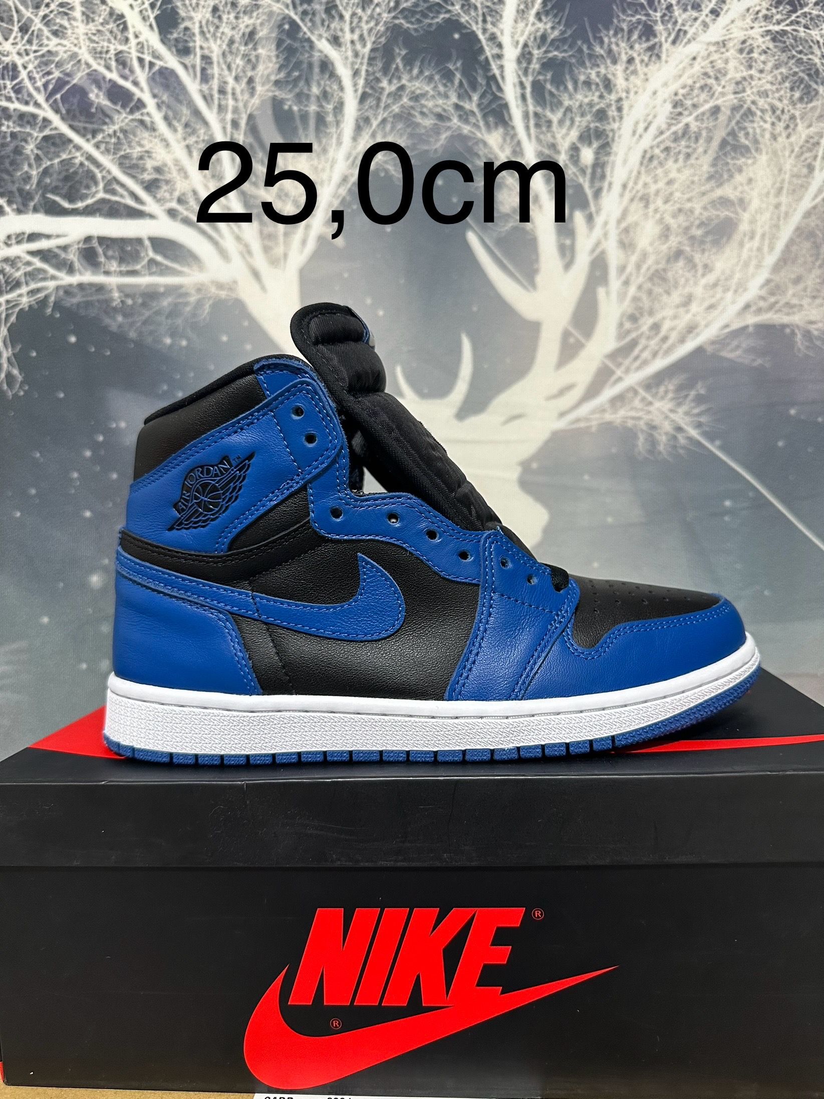 Nike Air Jordan 1 Retro High OG "Dark Marina Blue"