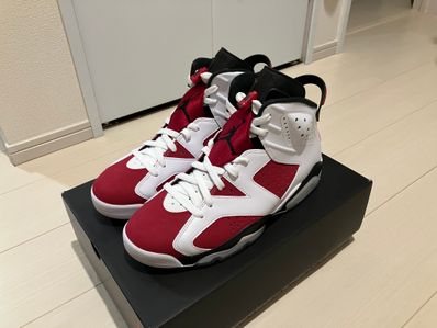 Nike Air Jordan 6 "Carmine" (2021)