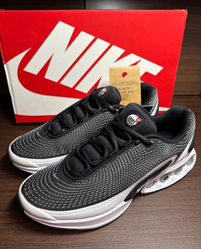 Nike Air Max DN "Black/White/Cool Grey/Pure Platinum"