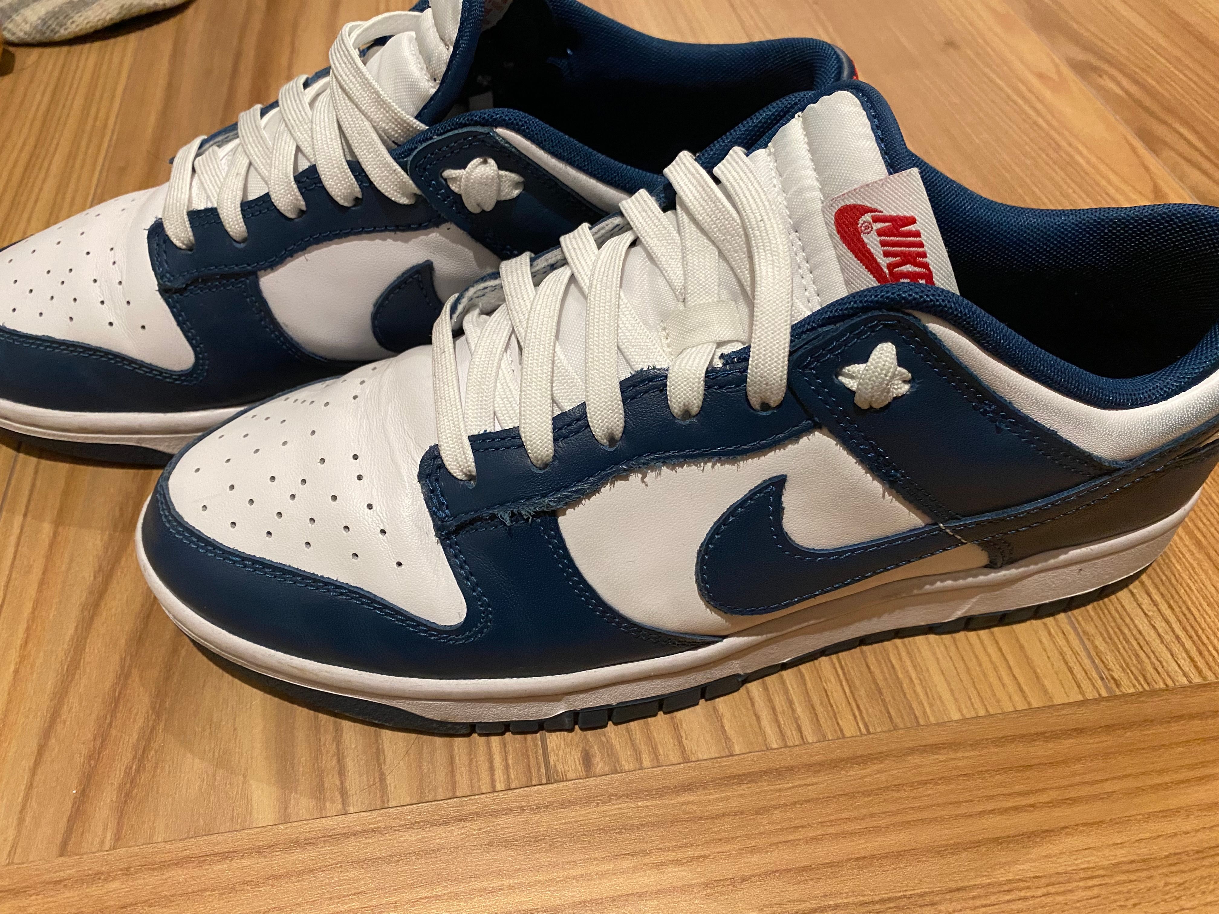 Nike Dunk Low "Valerian Blue"