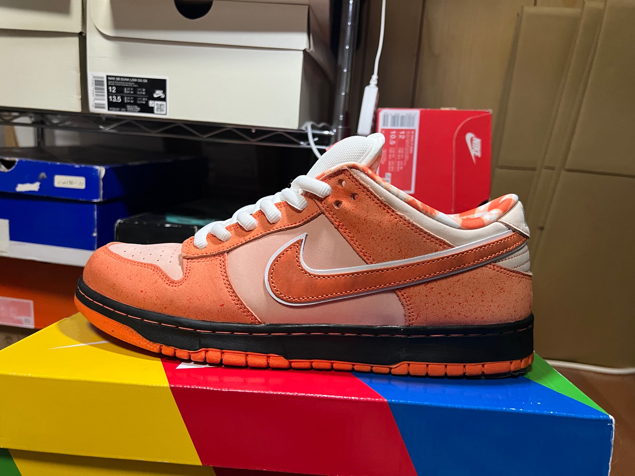 Concepts × Nike SB Dunk Low SP "Orange Lobster"