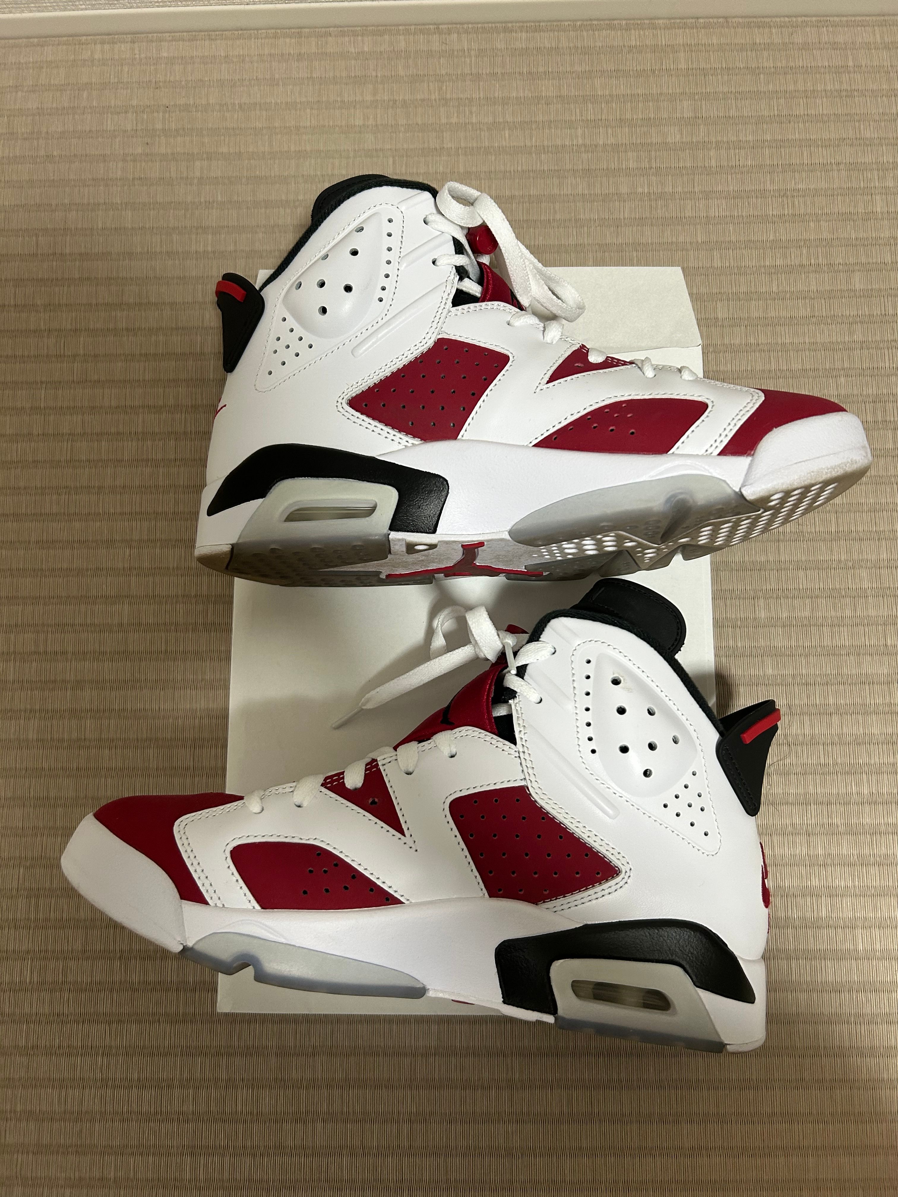 Nike Air Jordan 6 "Carmine" (2021)