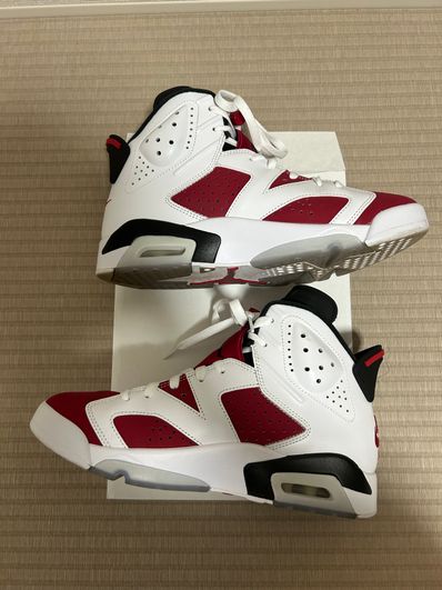 Nike Air Jordan 6 "Carmine" (2021)
