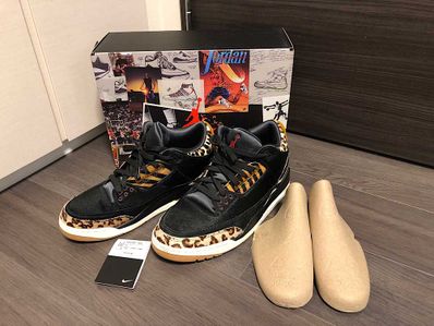 Nike Air Jordan 3 Retro SE "Animal Instinct/Safari"