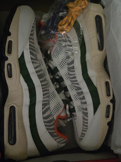 Nike Air Max 95 "ERA"