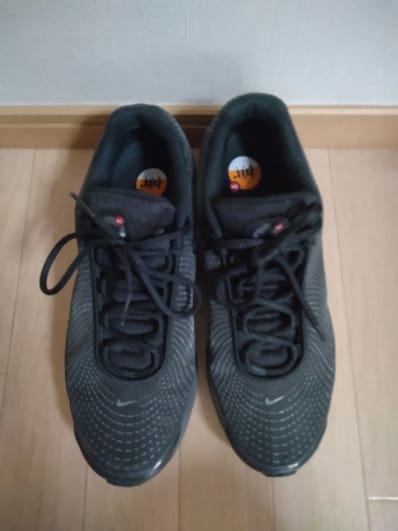 Nike Air Max DN "All Night"