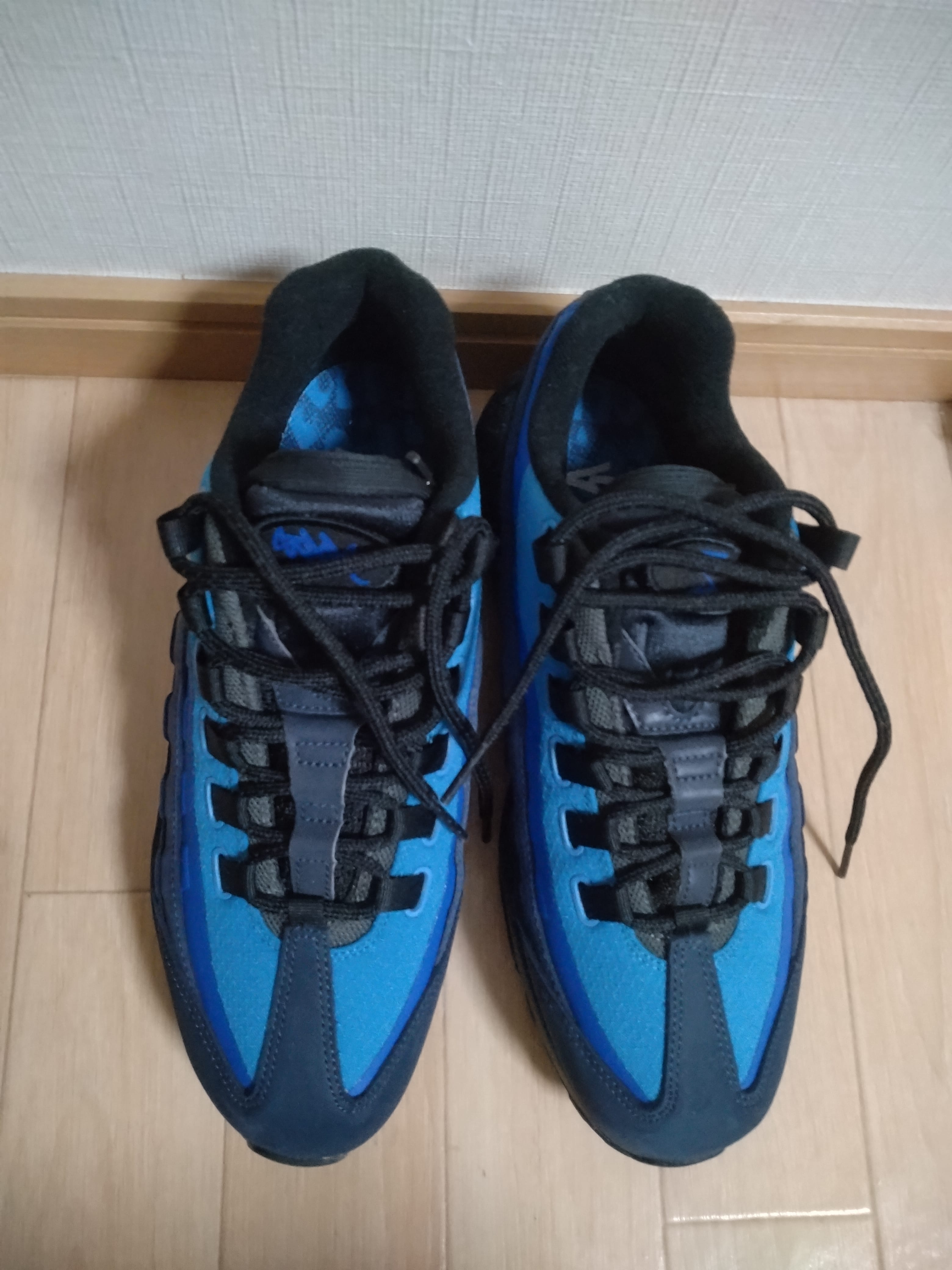 Stash × Nike Air Max 95 "Black and Harbor Blue" (2024)