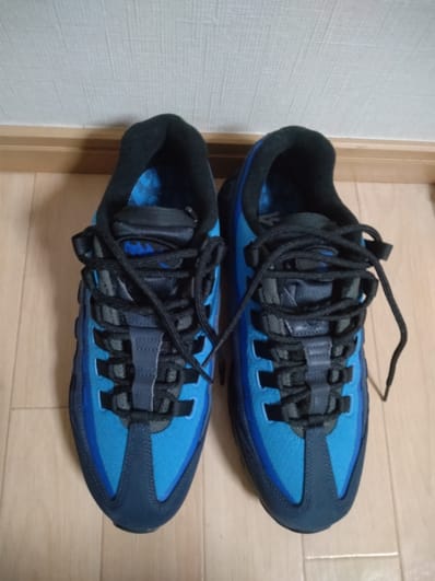 Stash × Nike Air Max 95 "Black and Harbor Blue" (2024)