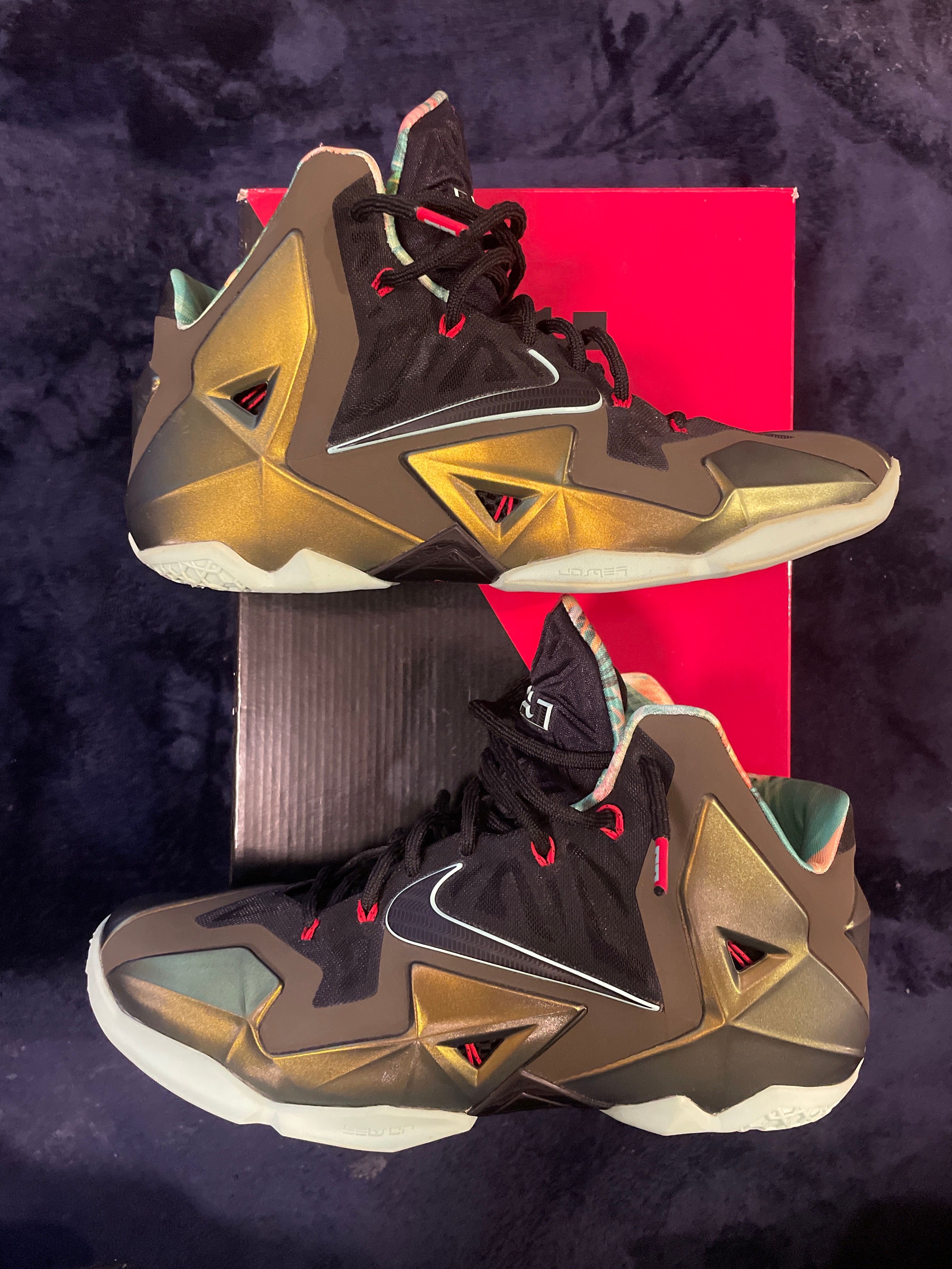 Nike Lebron 11 "King's Pride"