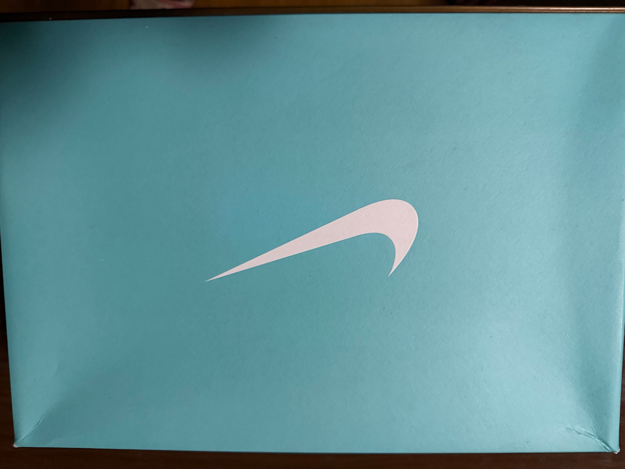Tiffany & Co. × Nike Air Force 1 Low "1837"