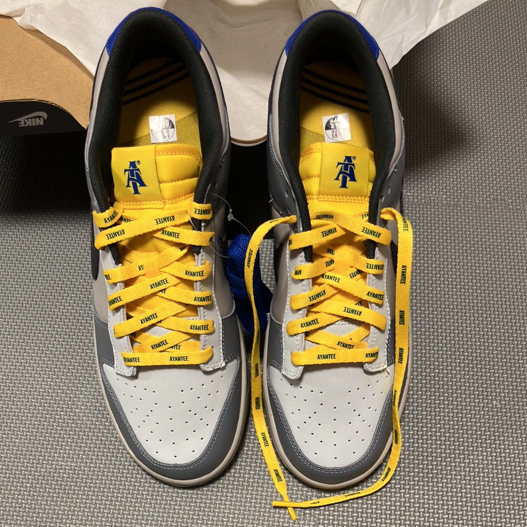 North Carolina A&T × Nike Dunk Low "Ayantee"