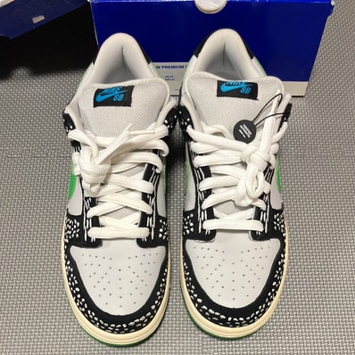 Nike SB Dunk Low "Loon"