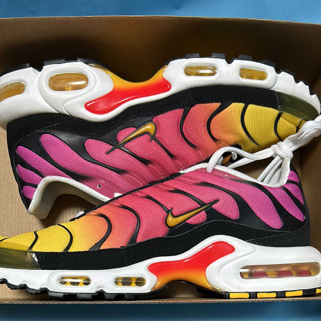 Nike Air Max Plus OG "Gradient"(2023)
