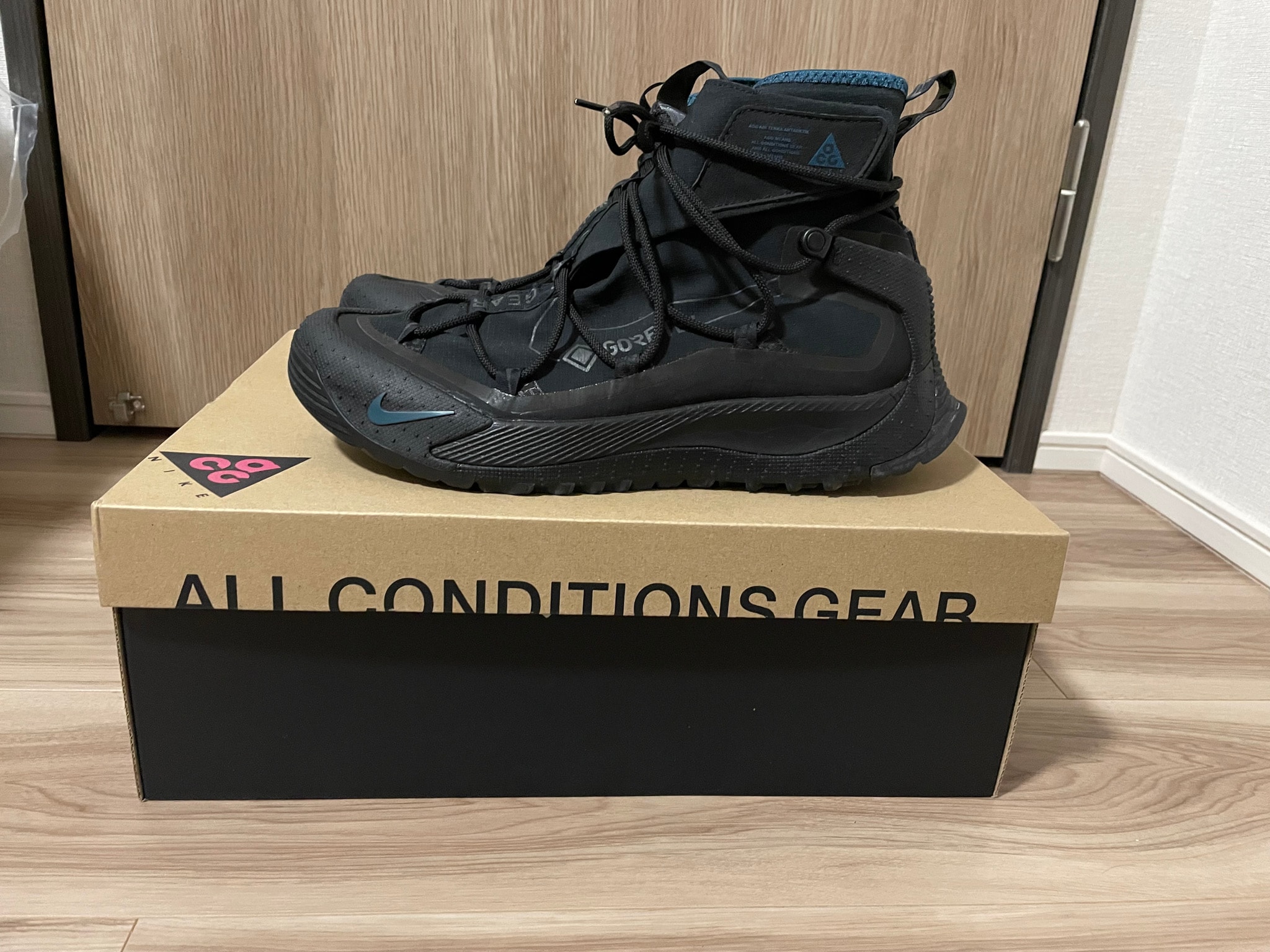 Nike ACG Air Terra Antarktik GORE-TEX "Midnight"