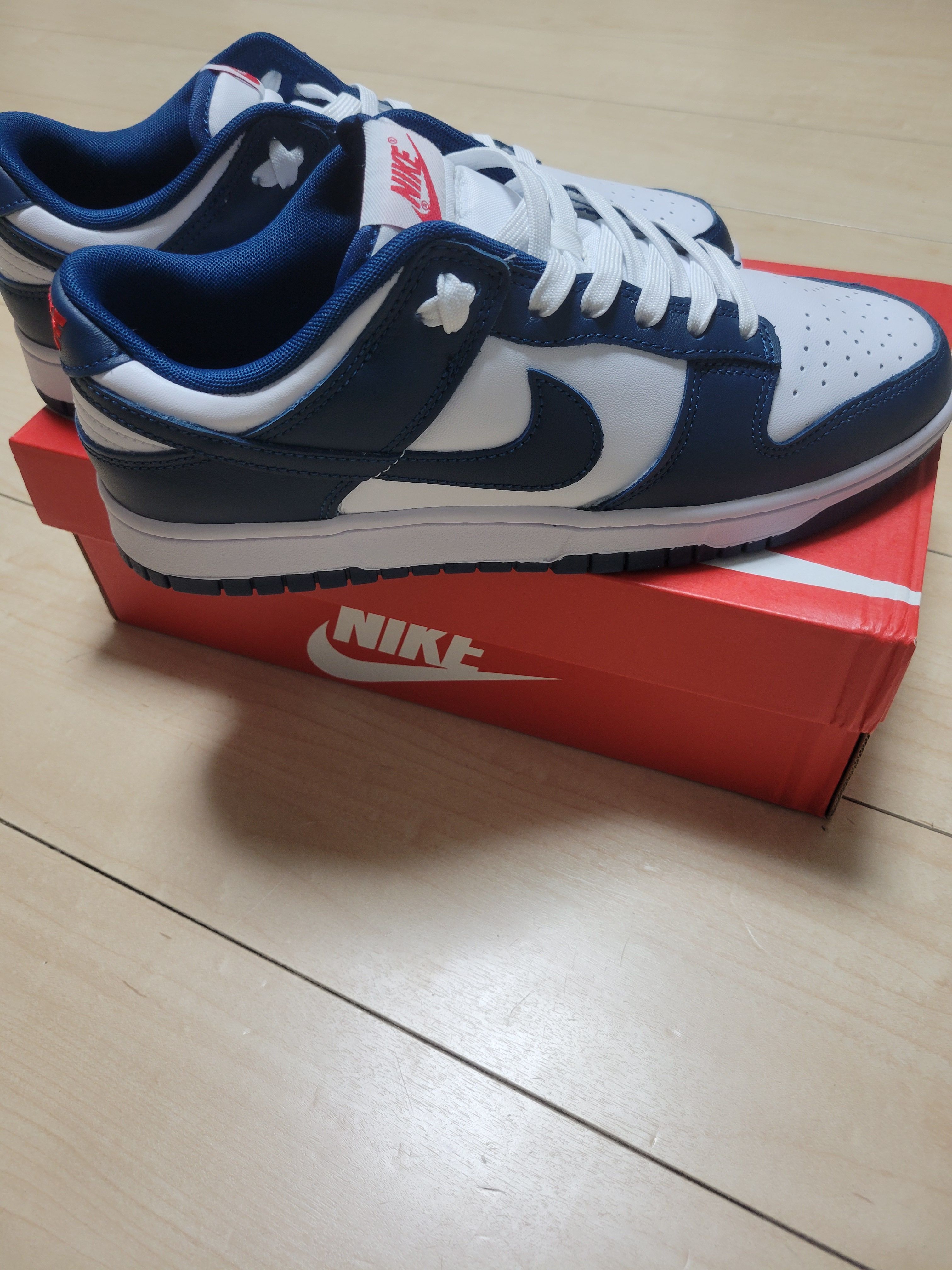Nike Dunk Low "Valerian Blue"