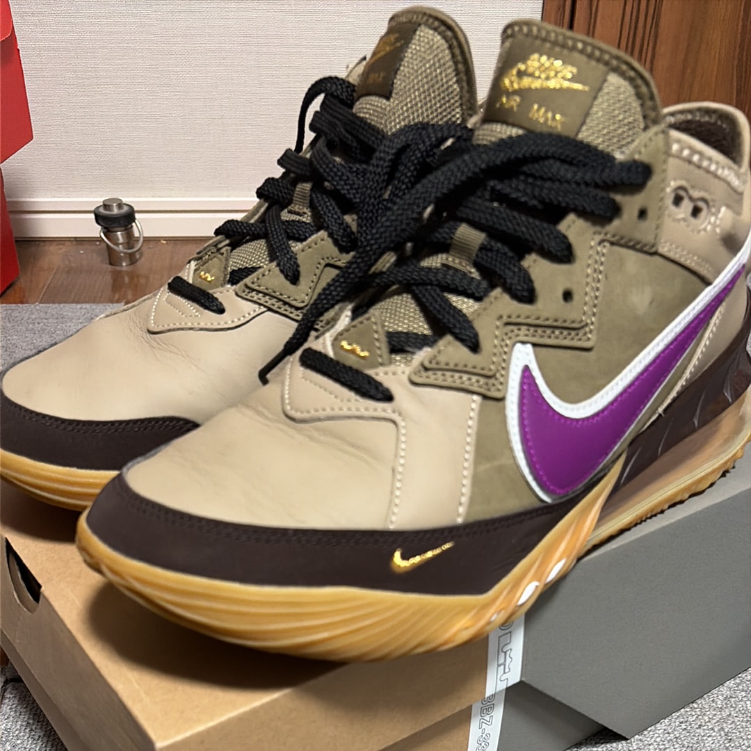 アトモス × ナイキ レブロン18 ロー "バイオテック"