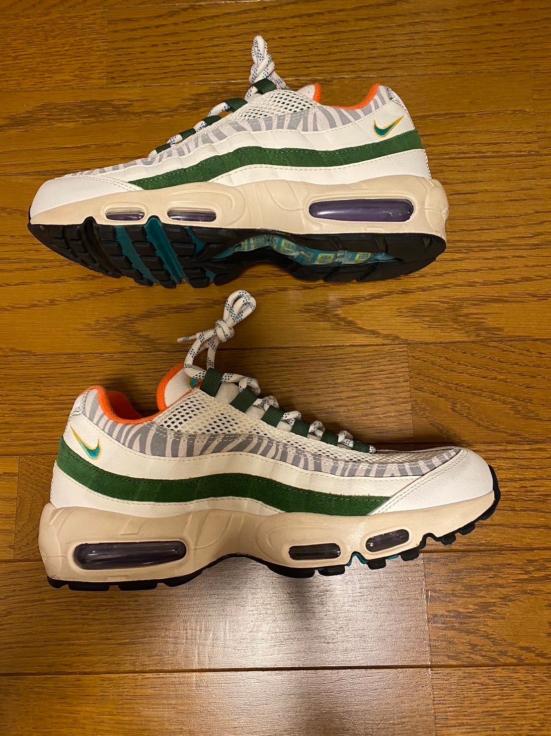 Nike Air Max 95 "ERA"