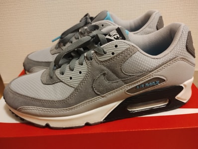 Nike Air Max 90 "Wolf Grey/Cool Grey"