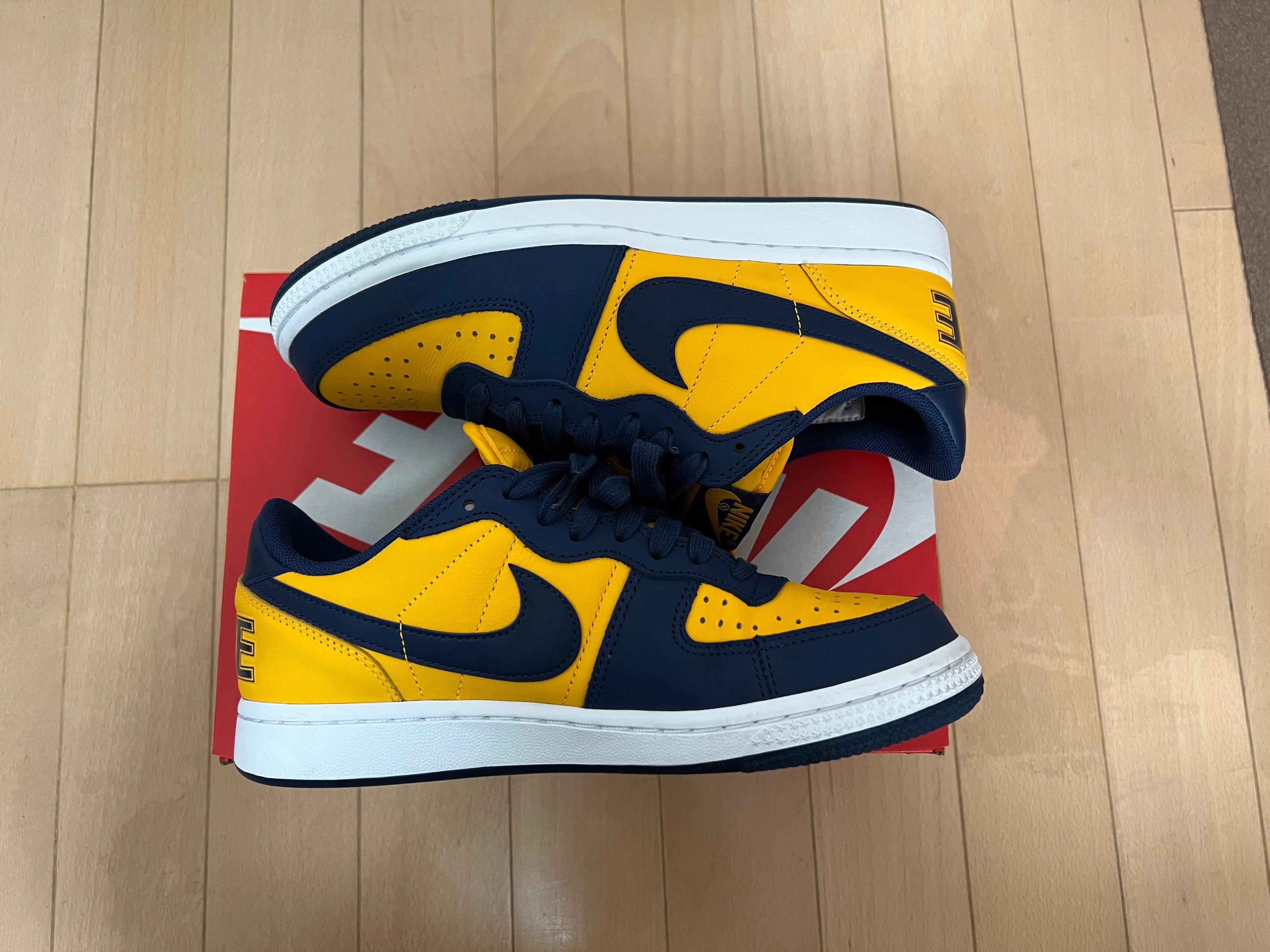 Nike Terminator Low "University Gold and Navy/Michigan"