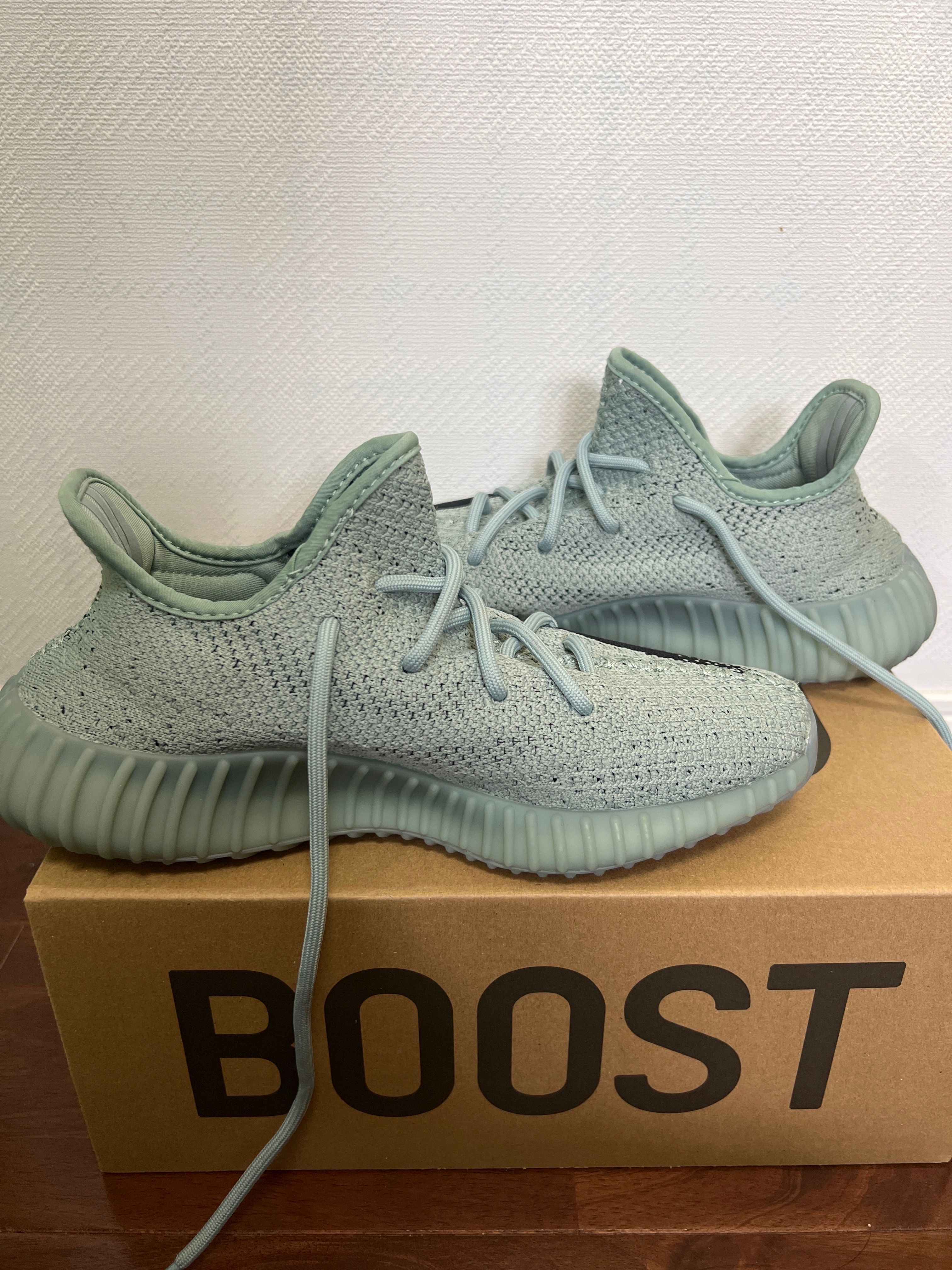 adidas YEEZY Boost 350V2 "Salt/Core Black"