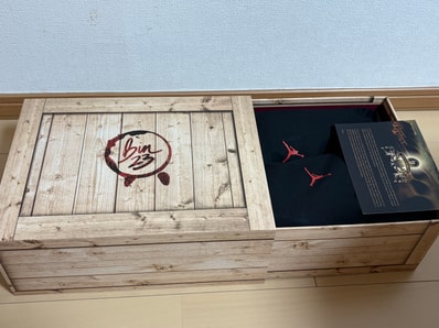 Nike Air Jordan 3 "BIN 23"