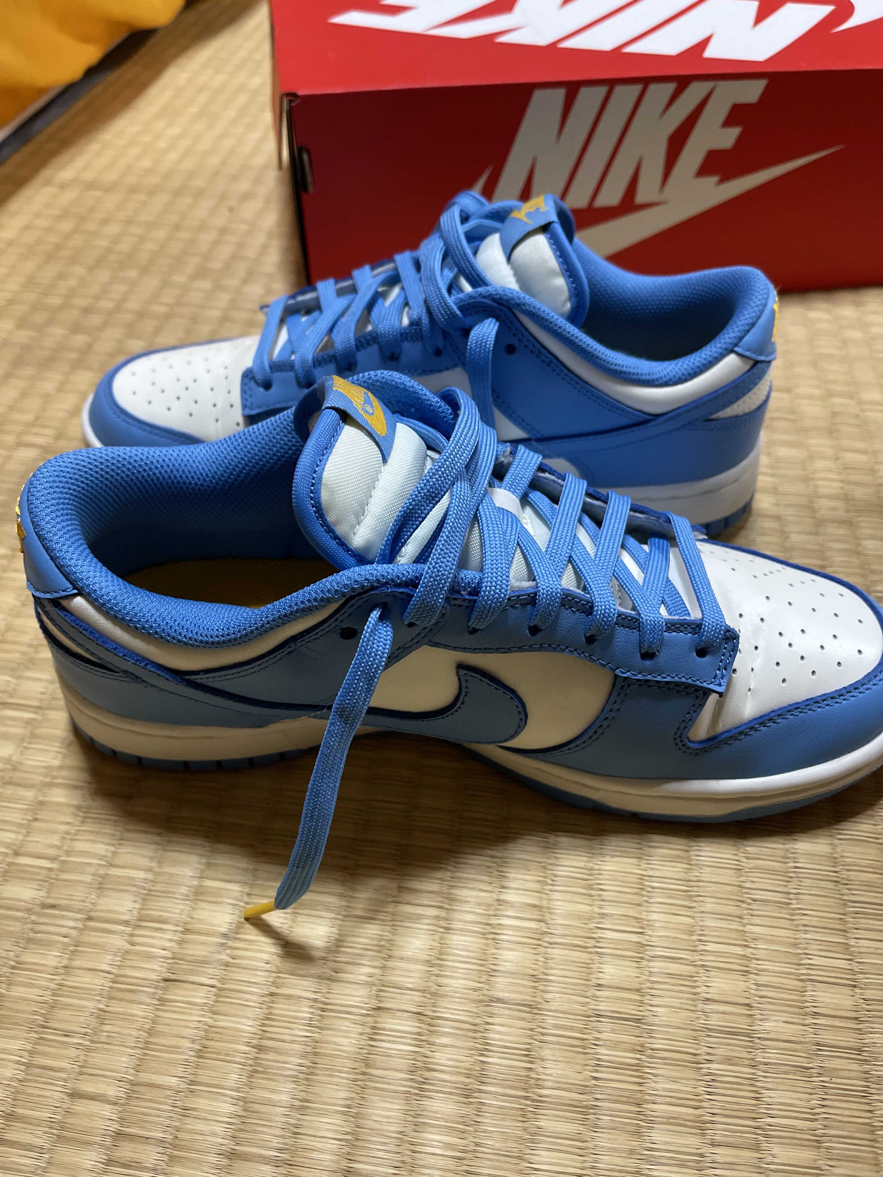 Nike Women's Dunk Low "Coast"