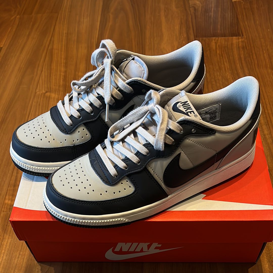 Nike Terminator Low "Dark Obsidian and Granite/Georgetown"(2023)