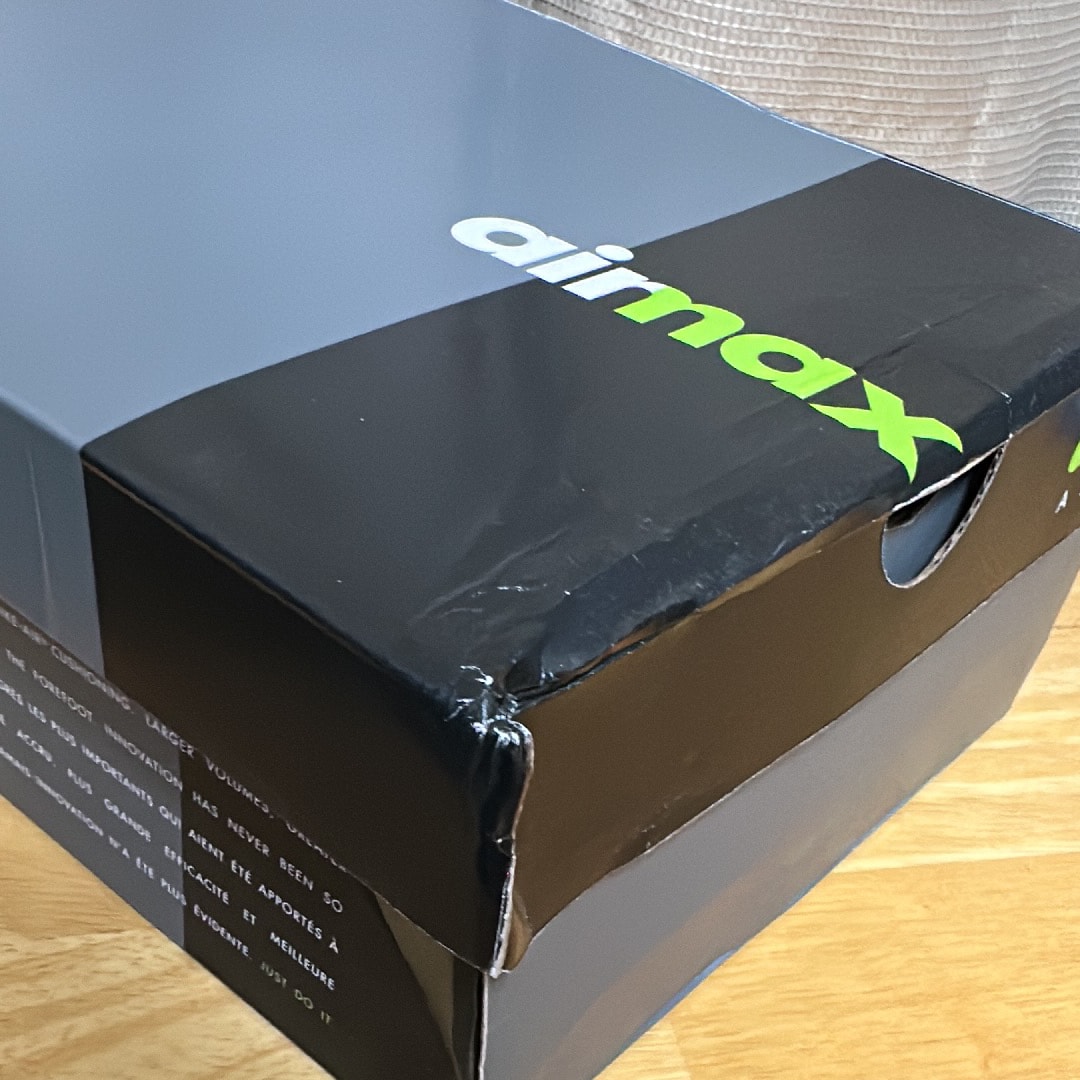 ナイキ エアマックス95 OG "ネオンイエロー/イエローグラデ" (2020)