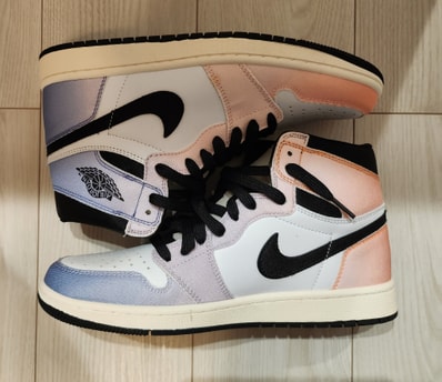 Nike Air Jordan 1 High OG "Multi Color"