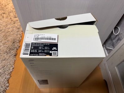 Supreme × Nike SB Dunk Low "Rammellzee"