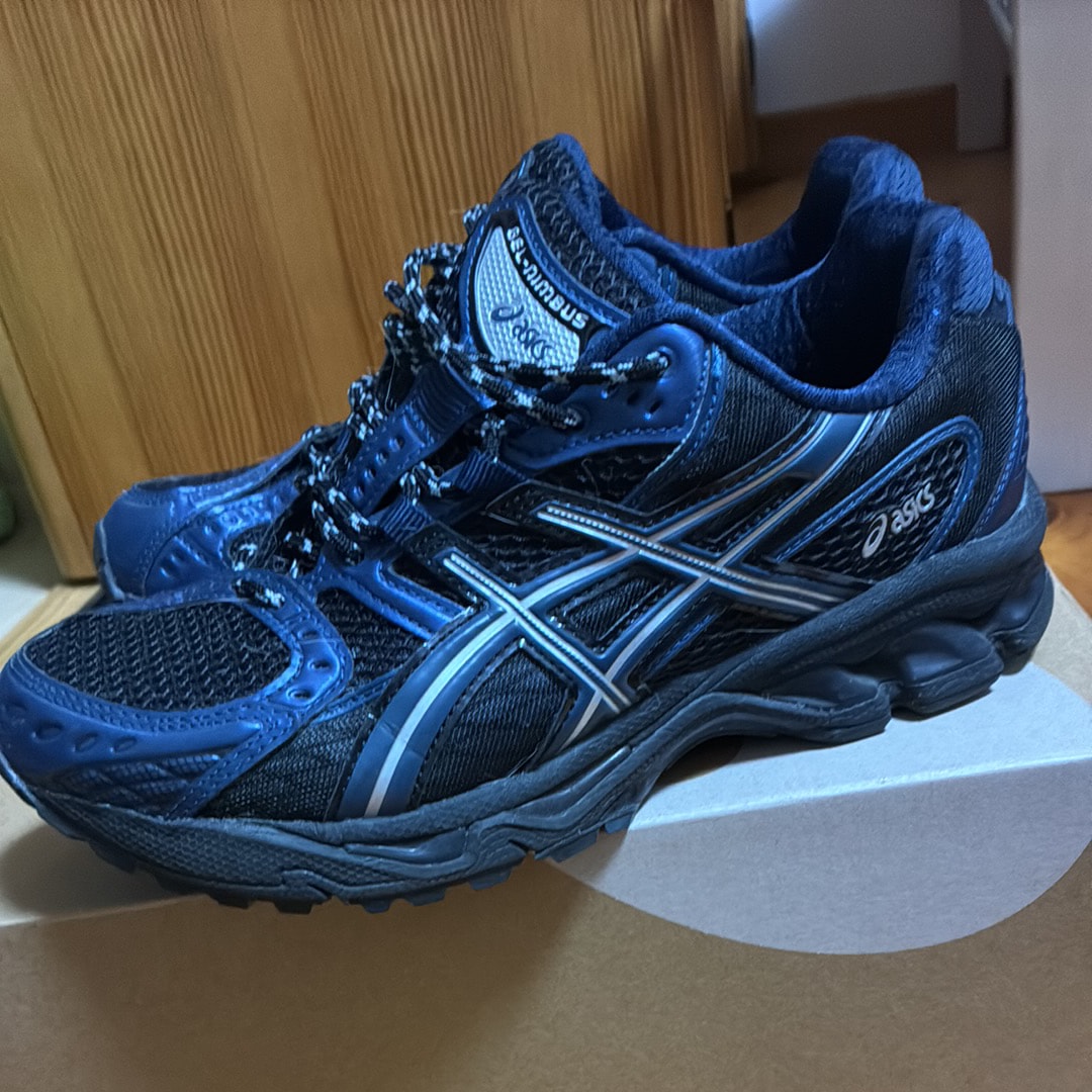 Asics Gel-Nimbus 10.1 "Black/Grand Shark"