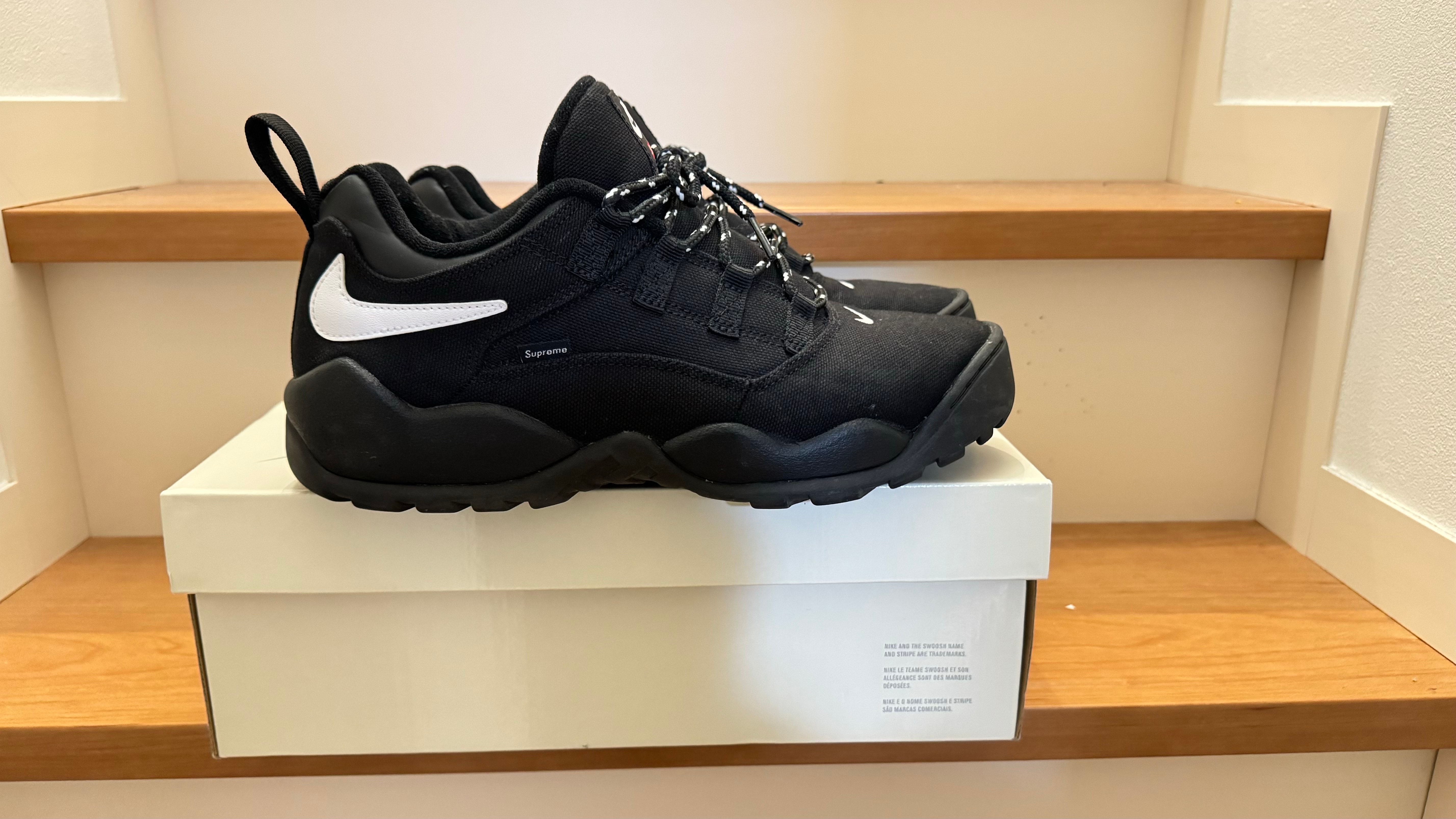 シュプリーム × ナイキ SB ダーウィン ロー "ブラック"