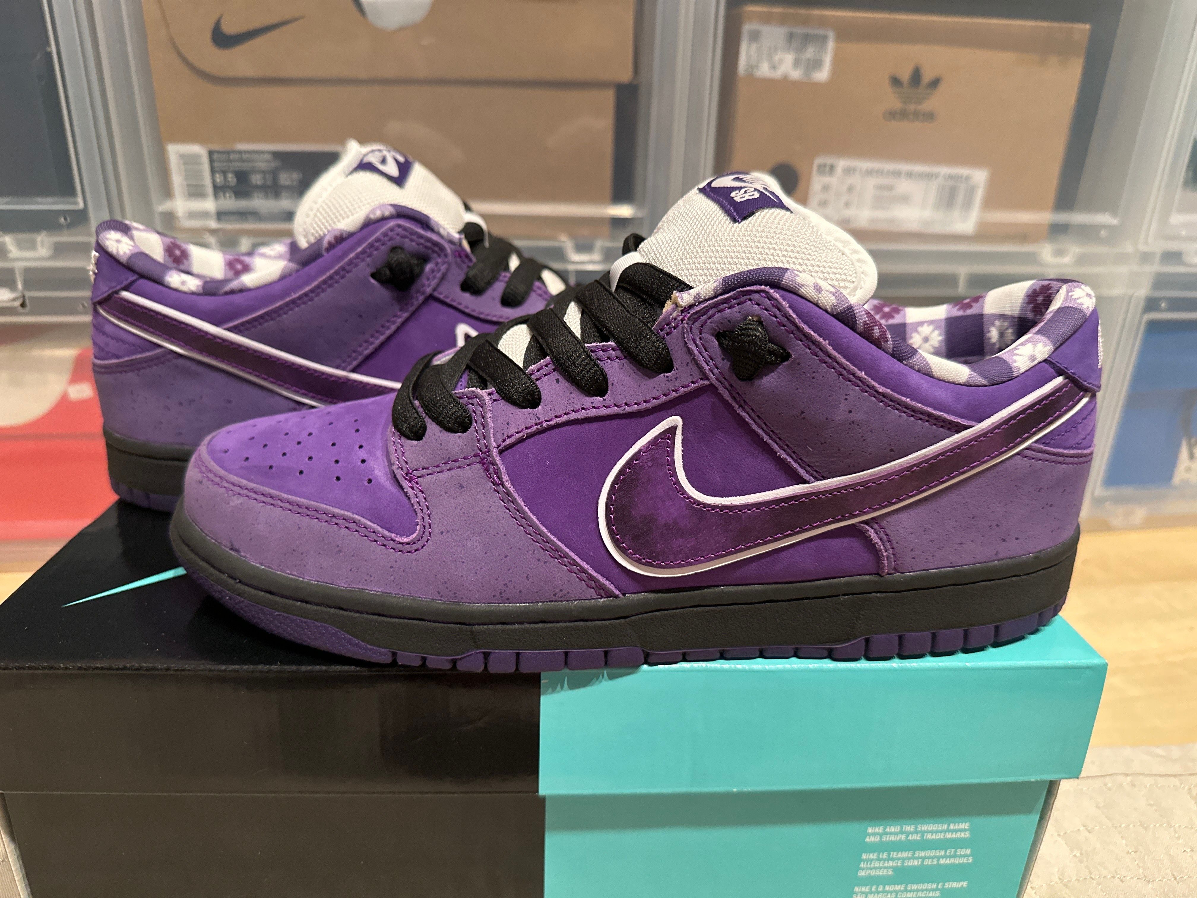 Concepts × Nike SB Dunk Low "Purple Lobster"