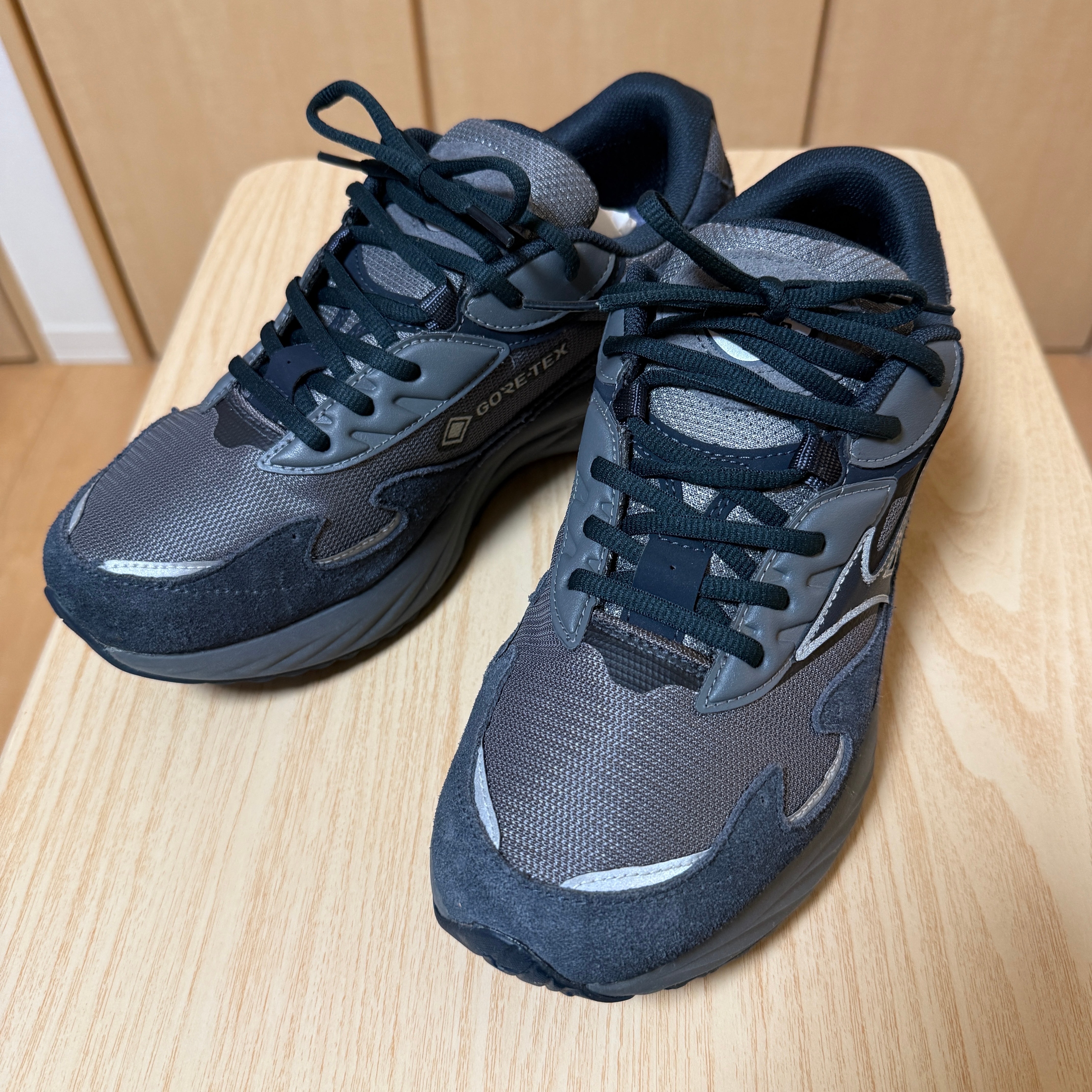 ミズノ ウェーブライダー ベータ ゴアテックス "クワイエットシェード/ヴァルカン/シルバー"