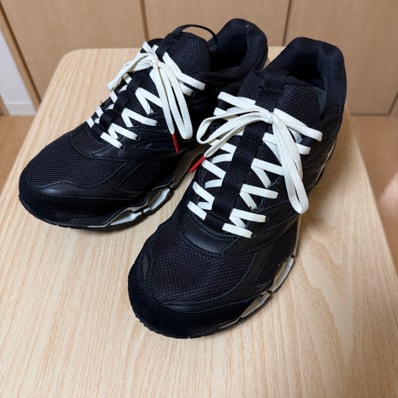 Graphpaper × Mizuno Wave Prophecy LS "SUMI"