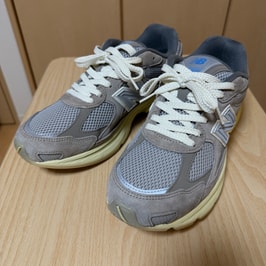 ニューバランス 2010 "グレーデイズ/アリドストーン/レインクラウド"