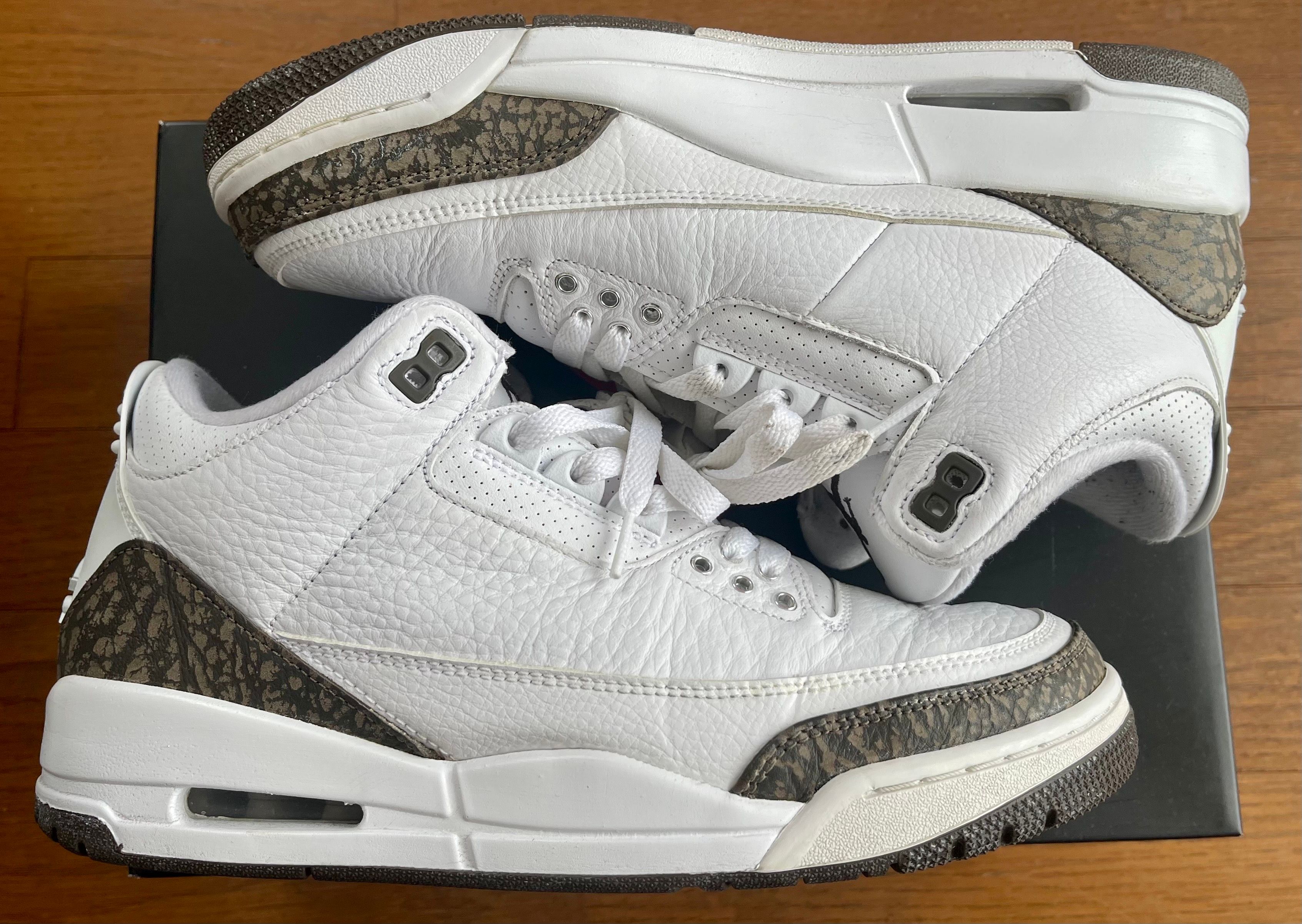 Nike Air Jordan 3 Retro "Mocha" (2018)