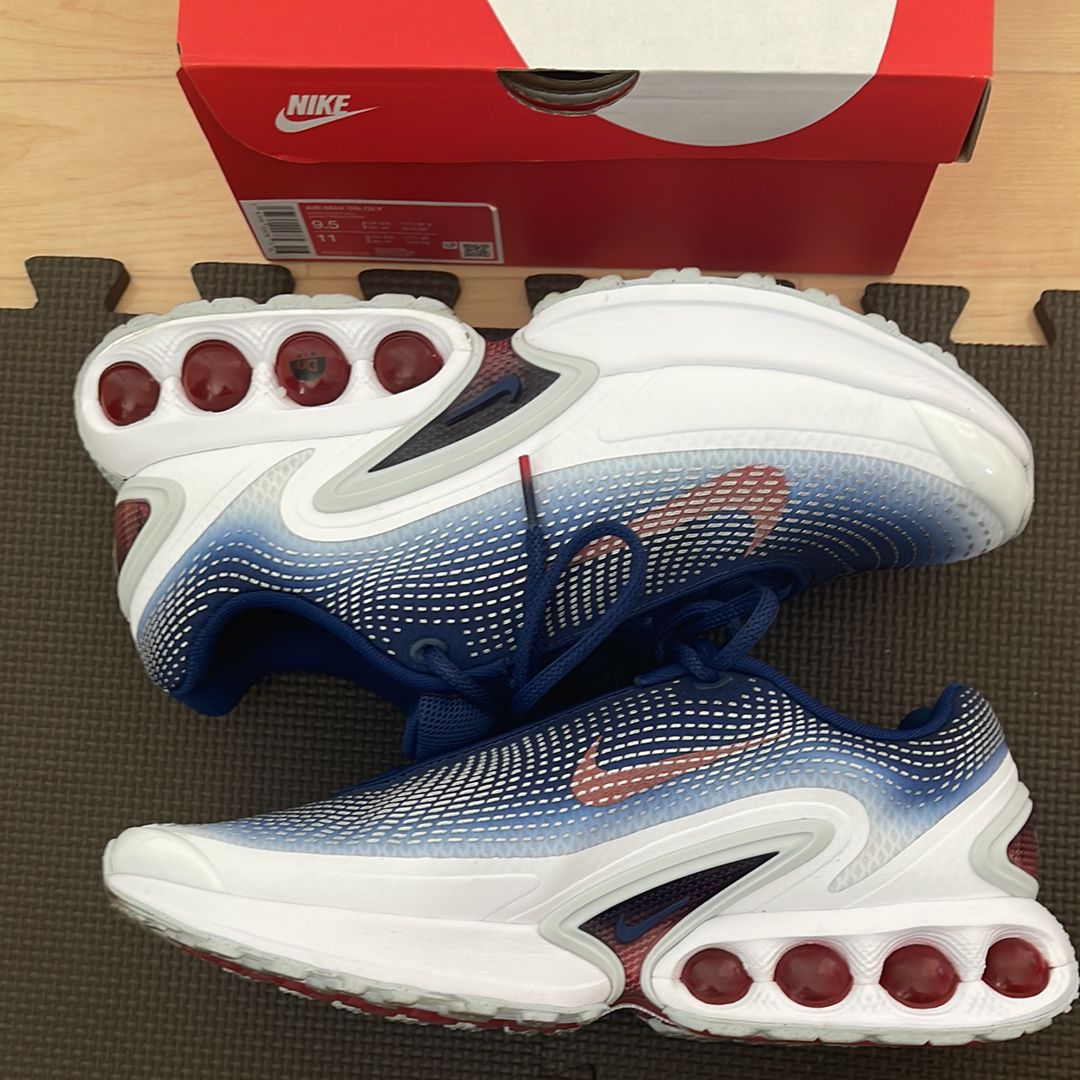 Nike Air Max DN "USA"