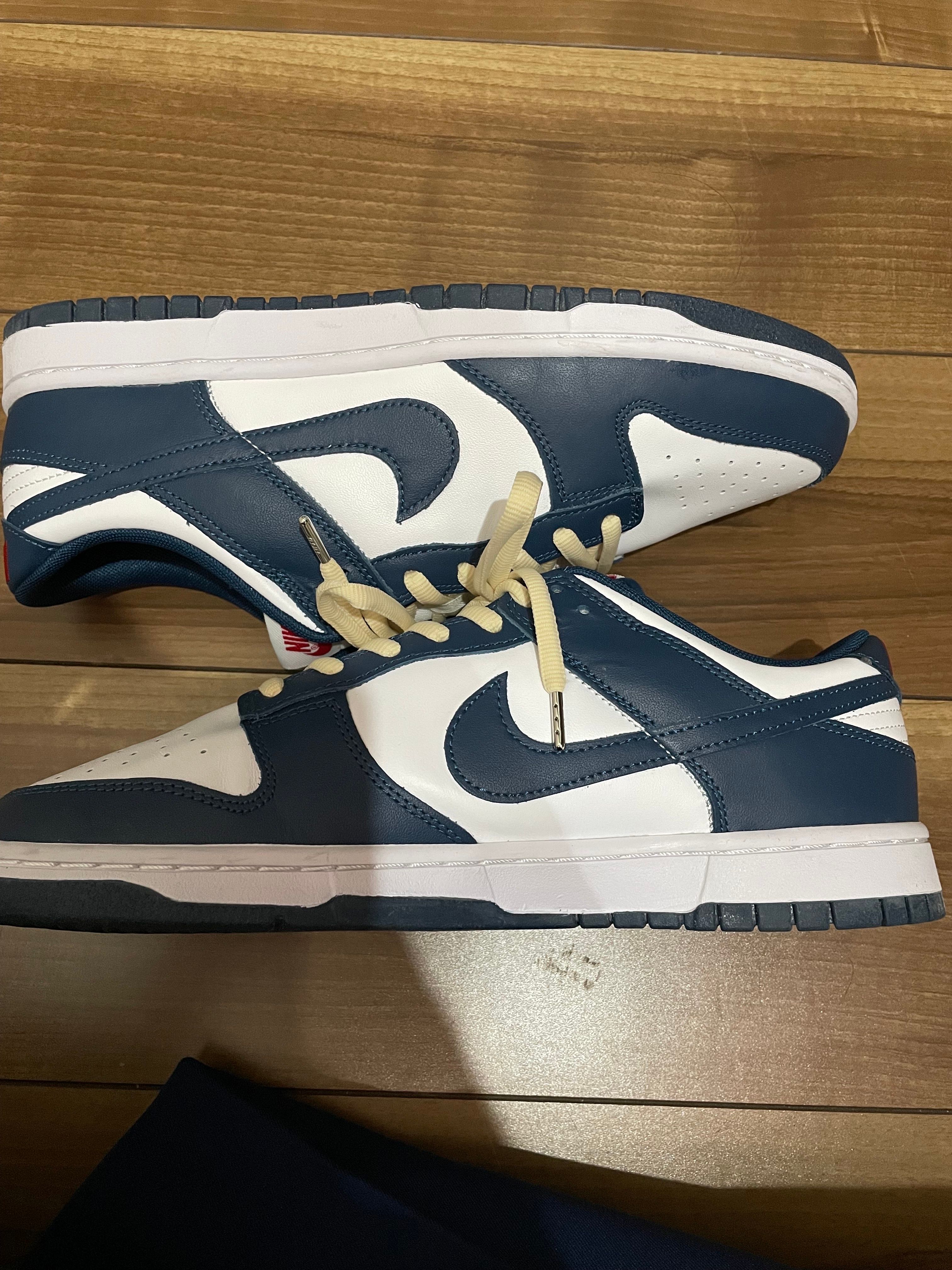 Nike Dunk Low "Valerian Blue"