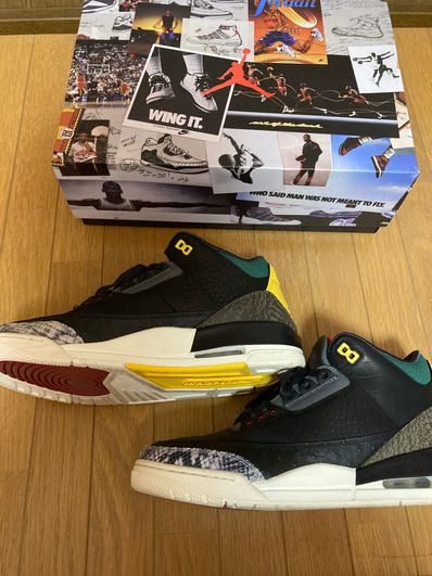 Nike Air Jordan 3 Retro SE "Animal Instinct 2.0/Safari"