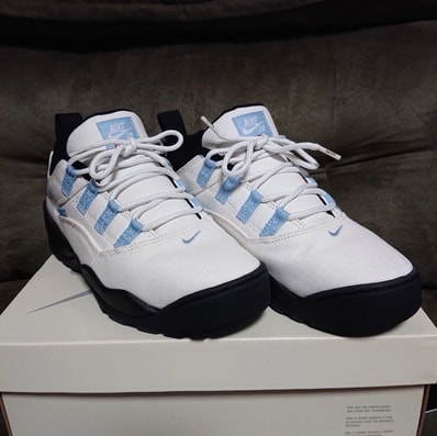 Supreme × Nike SB Darwin Low "White"