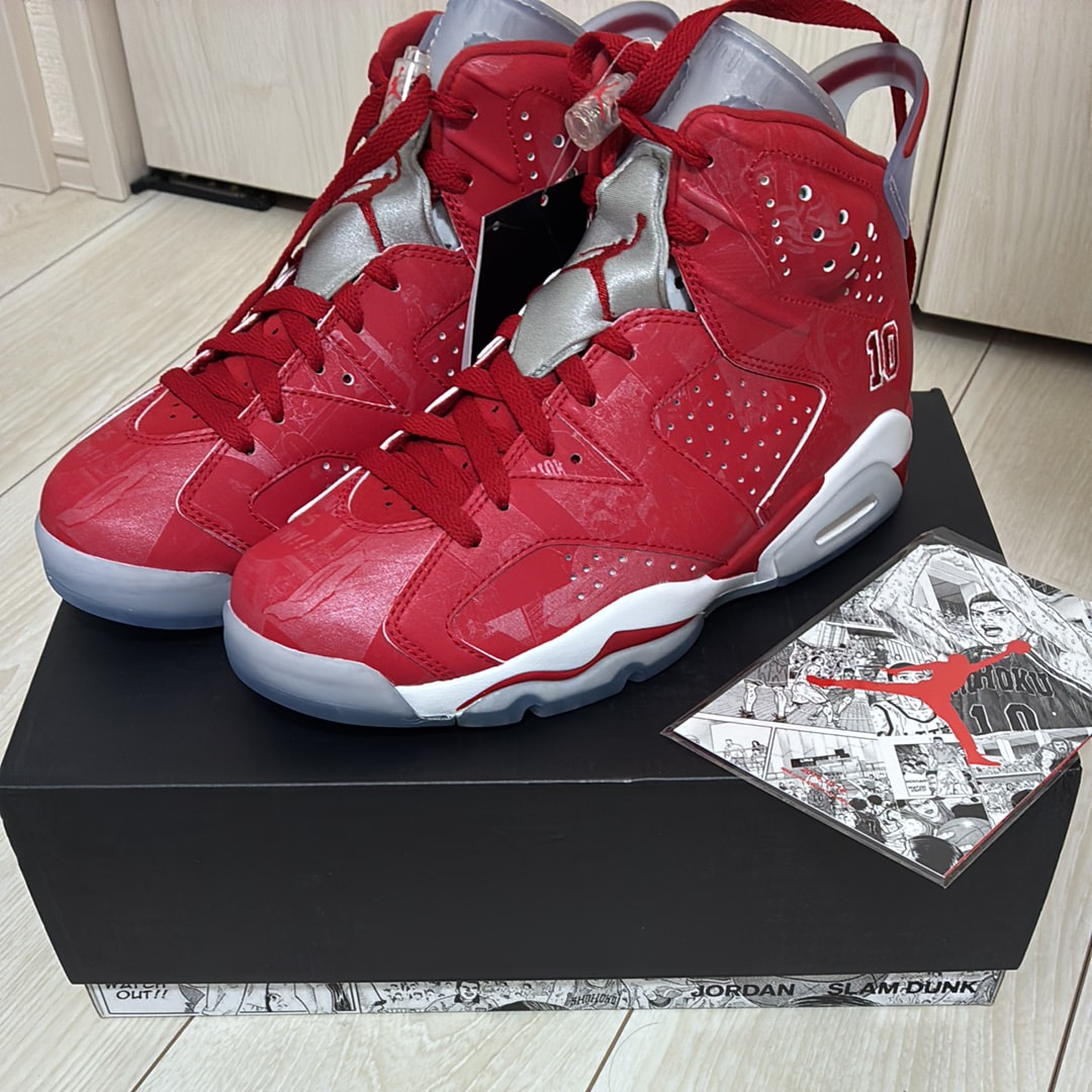Nike Air Jordan 6 RETRO "SLAM DUNK"
