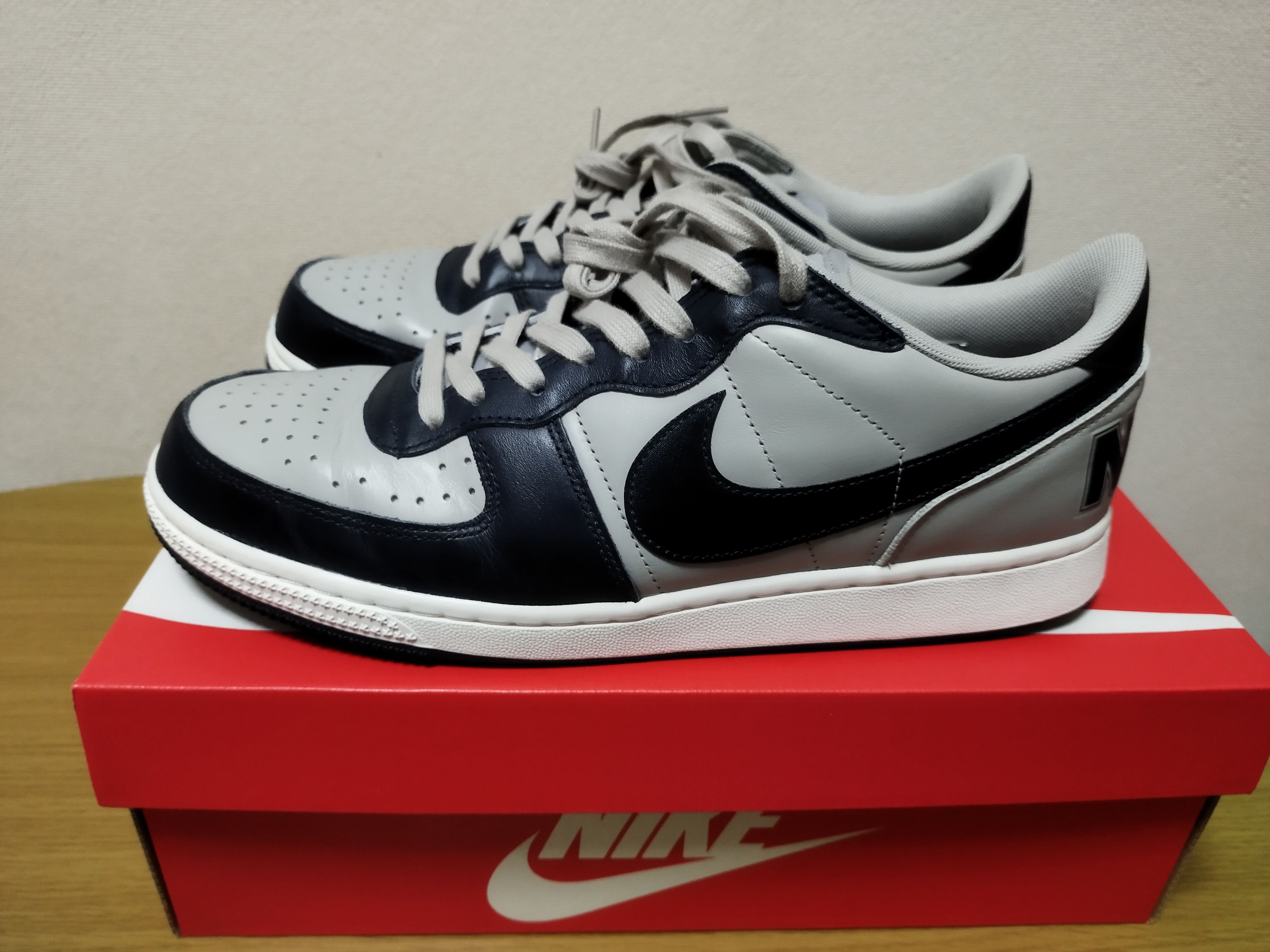 Nike Terminator Low "Dark Obsidian and Granite/Georgetown"(2023)