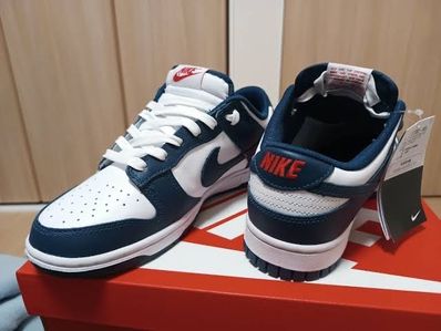 Nike Dunk Low "Valerian Blue"