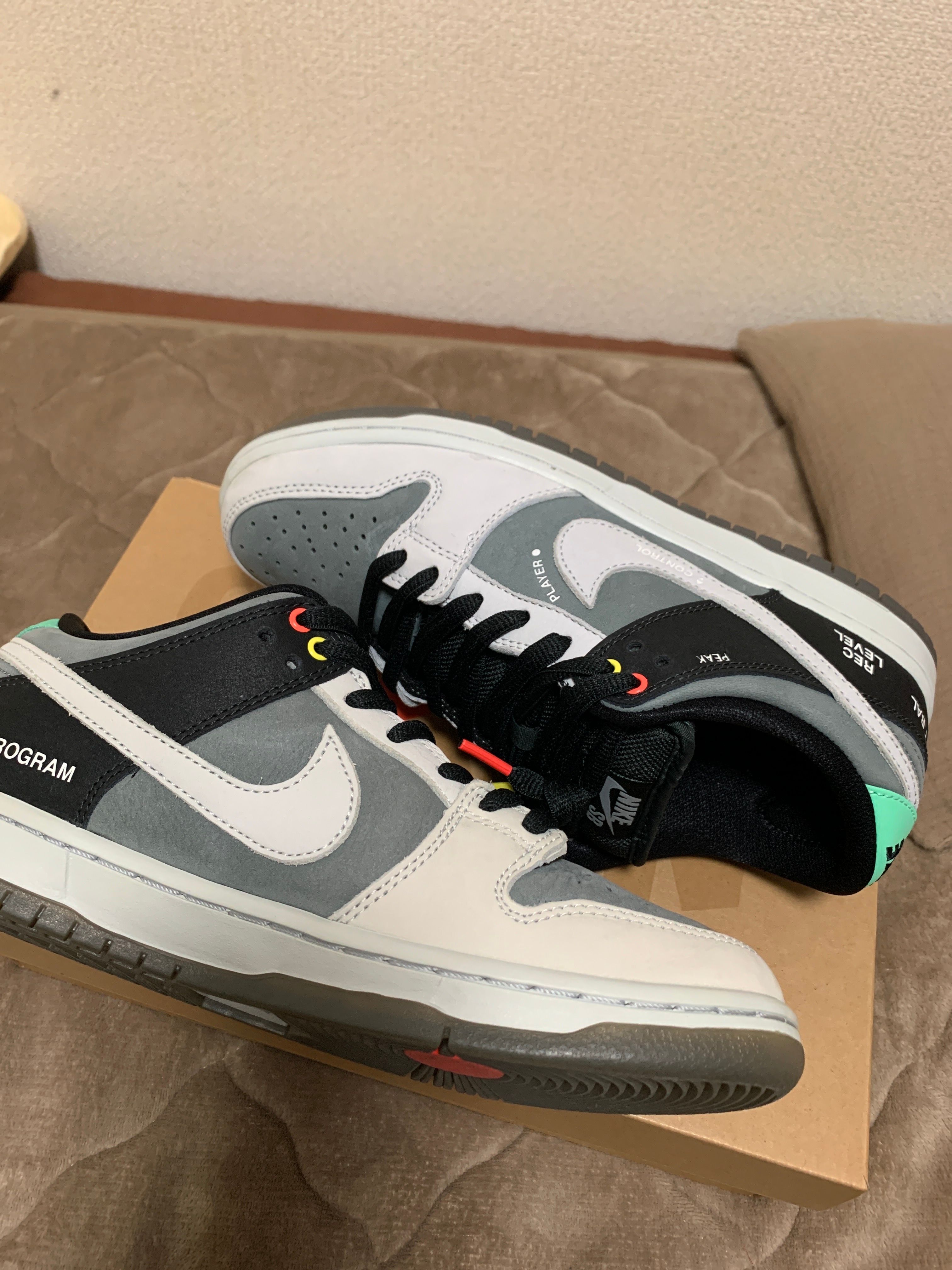 Nike SB Dunk Low Pro "VX1000 Camcorder"