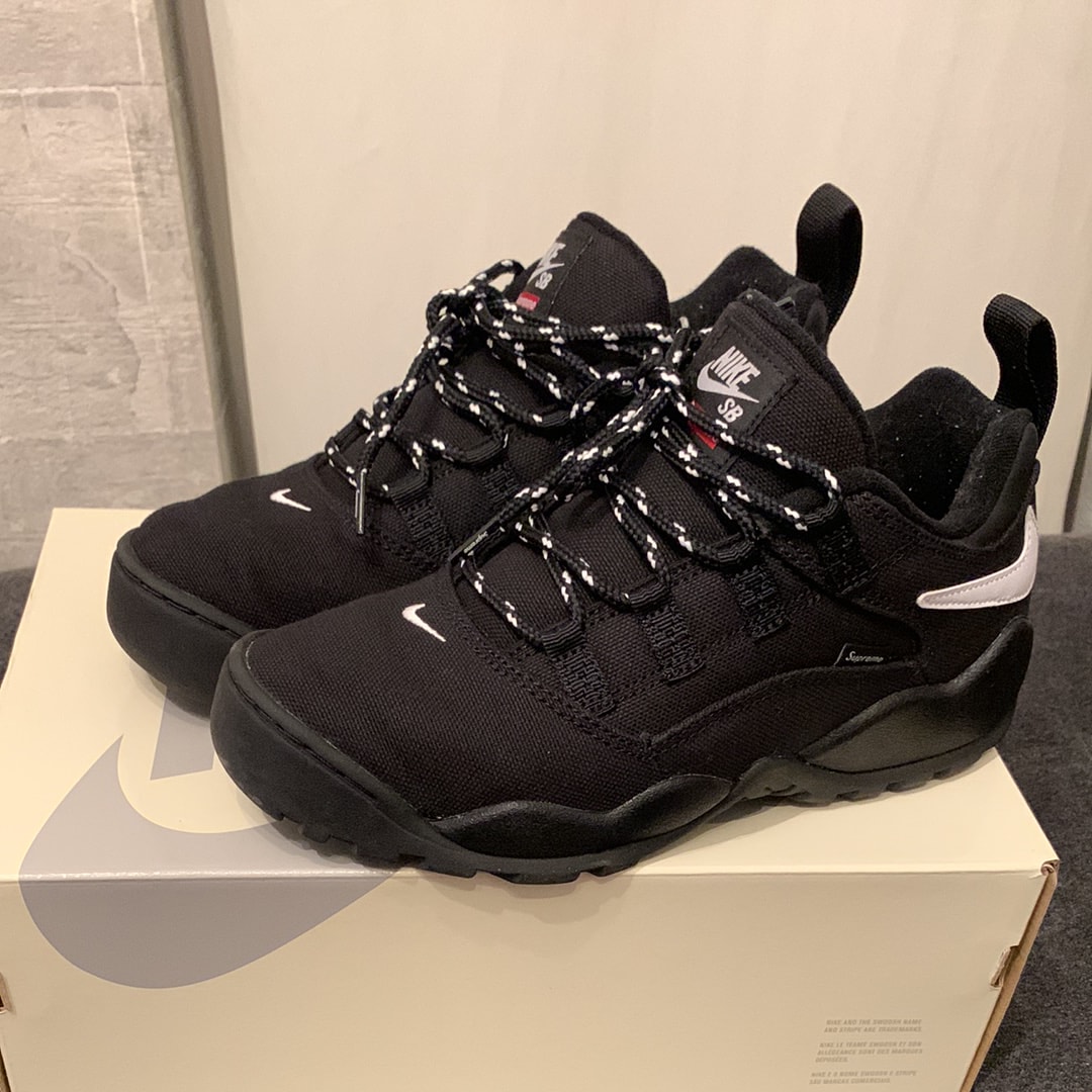 Supreme × Nike SB Darwin Low "Black"